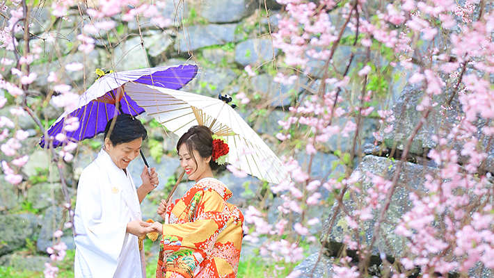Kumamoto Castle Sakura Plan 2 Japanese kimono + 1 Dress